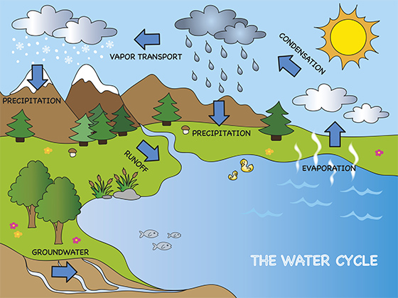 The Water Cycle